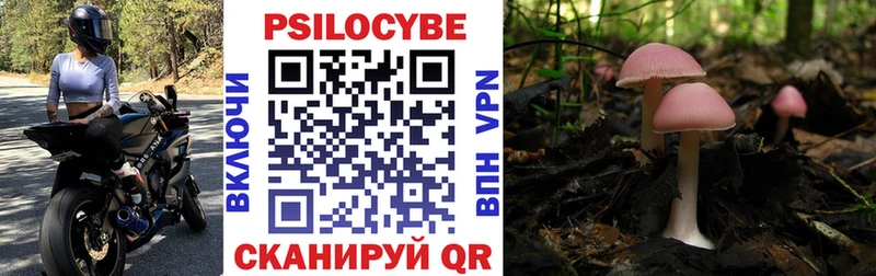 где найти   Пыть-Ях  MEGA tor  Псилоцибиновые грибы Psilocybine cubensis 